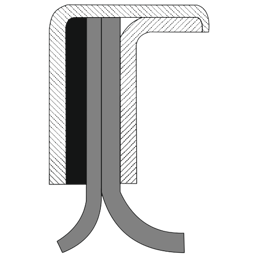 TS