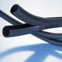 PACO_Bild___ PACO_Bild___