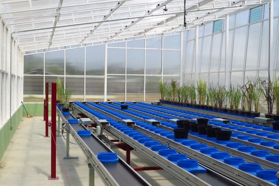 Aplikace energetických řetězů firmy HENNLICH pro německou univerzitu. Energetické řetězy přivádějí elektřinu a datové kabely ke kameře, která monitoruje vegetativní vývoj rostlin, jež jsou pěstovány ze speciálně upravených semen. Aplikace byla nominována na mezinárodní cenu Vector Award.
