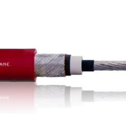 Motorleitung-cfcrane Motorleitung-cfcrane