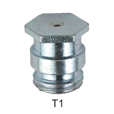 T1