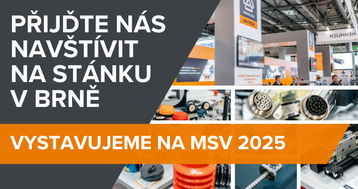 MSV 2025